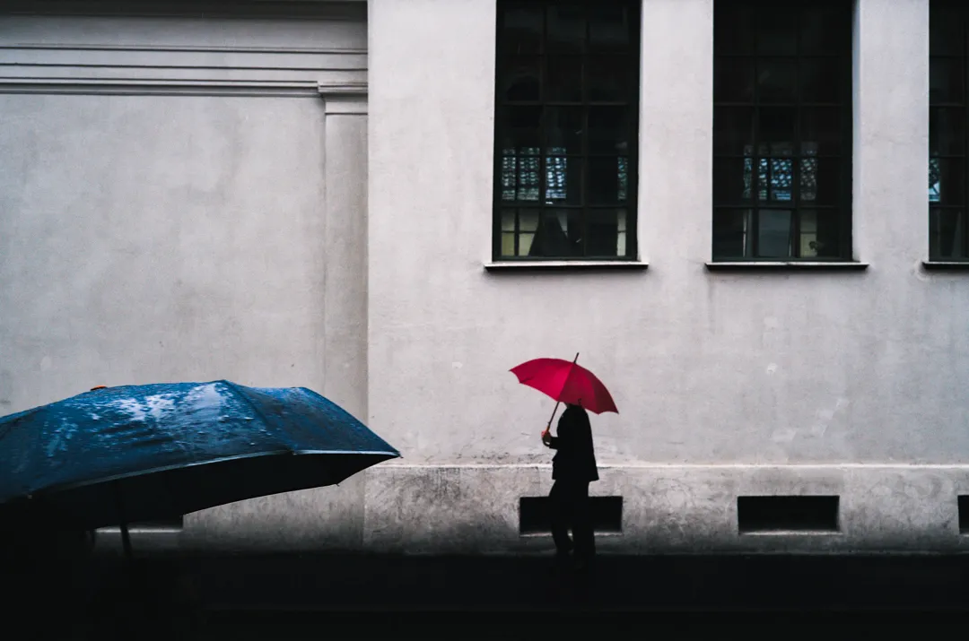 Red and blue umbrellas against a muted city backdrop