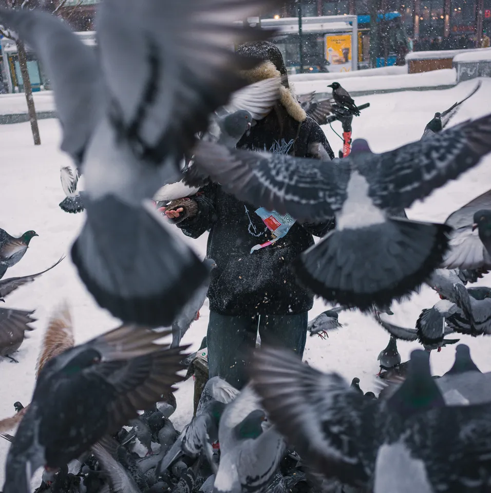 Portrait of a girl feeding pigeons